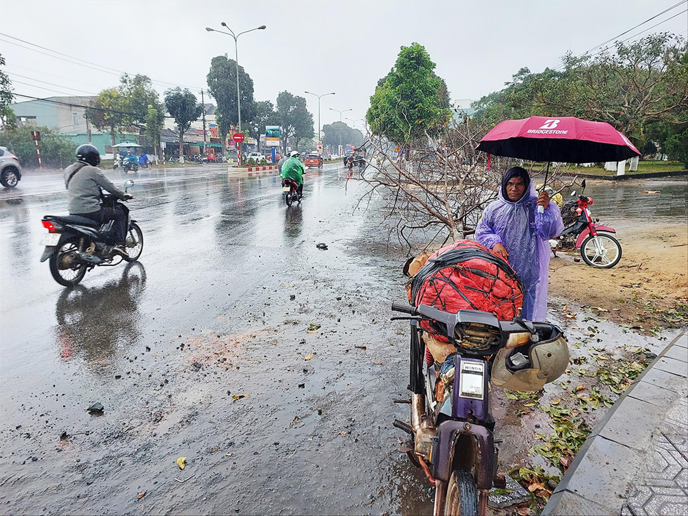 Những người đào mai rừng đứng bán giữa trời mưa ở Gia Lai