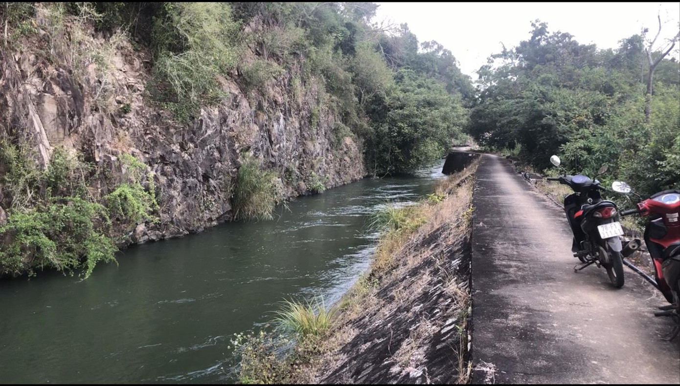 Cây cối mọc um tùm phía Nam kênh chính Nam của hệ thống thủy nông Đồng Cam. Ảnh: Công Hoan