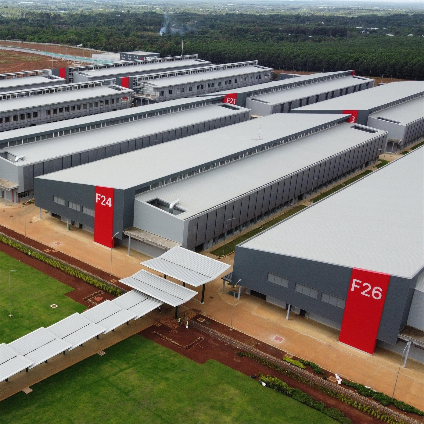 Cty TNHH Longwell liên tiếp lỗ trong 2 năm gần đây Ảnh: PV; đồ họa: Quốc Anh