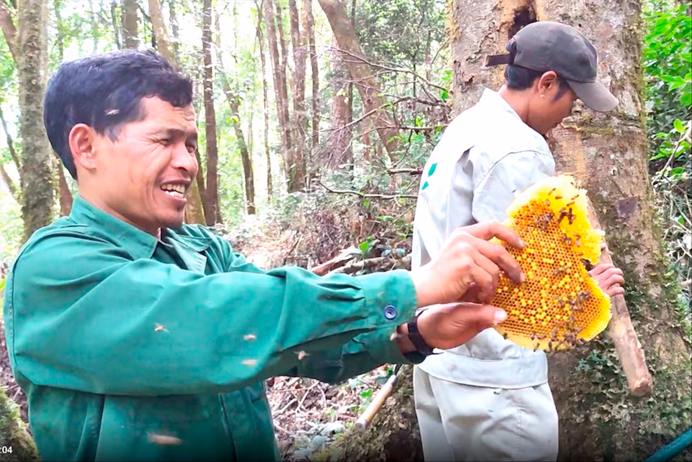 Ông A Chung lấy sáp tổ ong mật