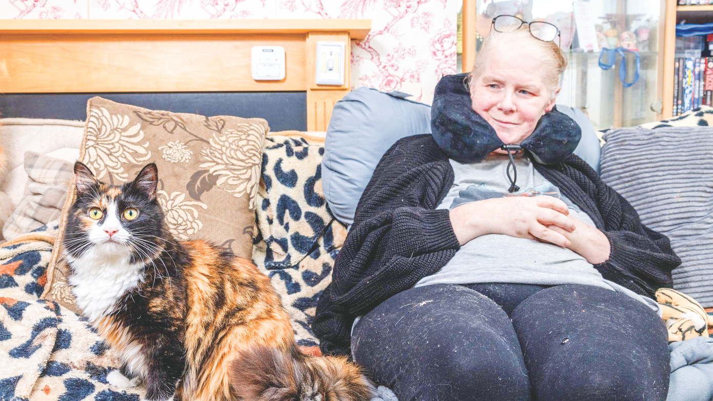 Chú mèo Willow cùng bà Amanda Jameson Chú mèo Willow cùng bà Amanda Jameson