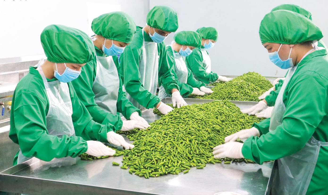 Nhiều gia vị Việt rộng cửa xuất khẩu thông qua kênh kiều bào Nhiều gia vị Việt rộng cửa xuất khẩu thông qua kênh kiều bào