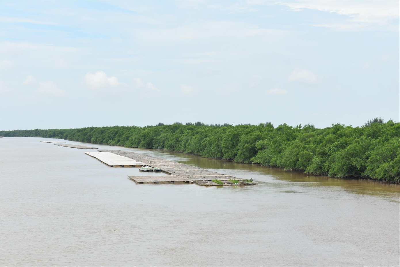Khu Bảo tồn thiên nhiên đất ngập nước Tiền Hải là một trong hai vùng lõi của Khu dự trữ sinh quyển châu thổ sông Hồng. Ảnh: TL