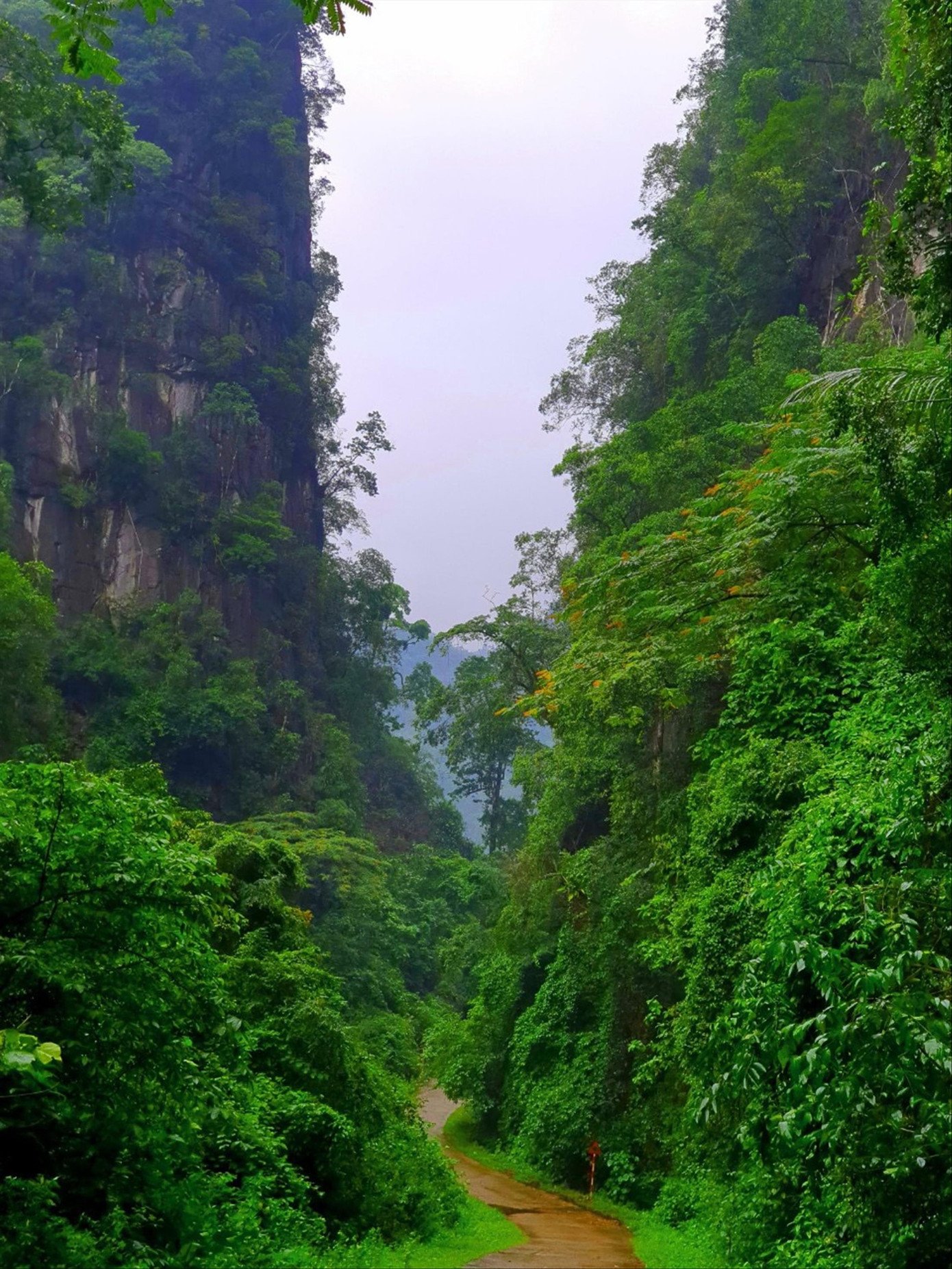 Lèn đá ngăn cách người Rục với thế giới bên ngoài đươc khai thông năm 2001 Lèn đá ngăn cách người Rục với thế giới bên ngoài đươc khai thông năm 2001