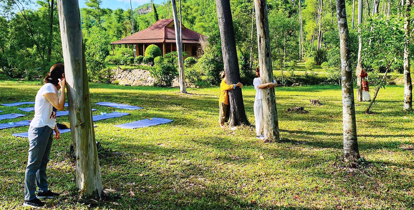 Ôm cây để chữa lành là xu hướng du lịch mới đang được giới trẻ ưa chuộng