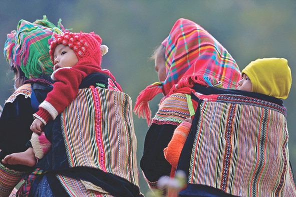 Những người Mông bản địa địu con đi chợ phiên Cán Cấu, huyện Si Ma Cai, Lào Cai từ sáng sớm. Chợ vãn, những đứa con lại lắc lư trên lưng mẹ về bản Những người Mông bản địa địu con đi chợ phiên Cán Cấu, huyện Si Ma Cai, Lào Cai từ sáng sớm. Chợ vãn, những đứa con lại lắc lư trên lưng mẹ về bản