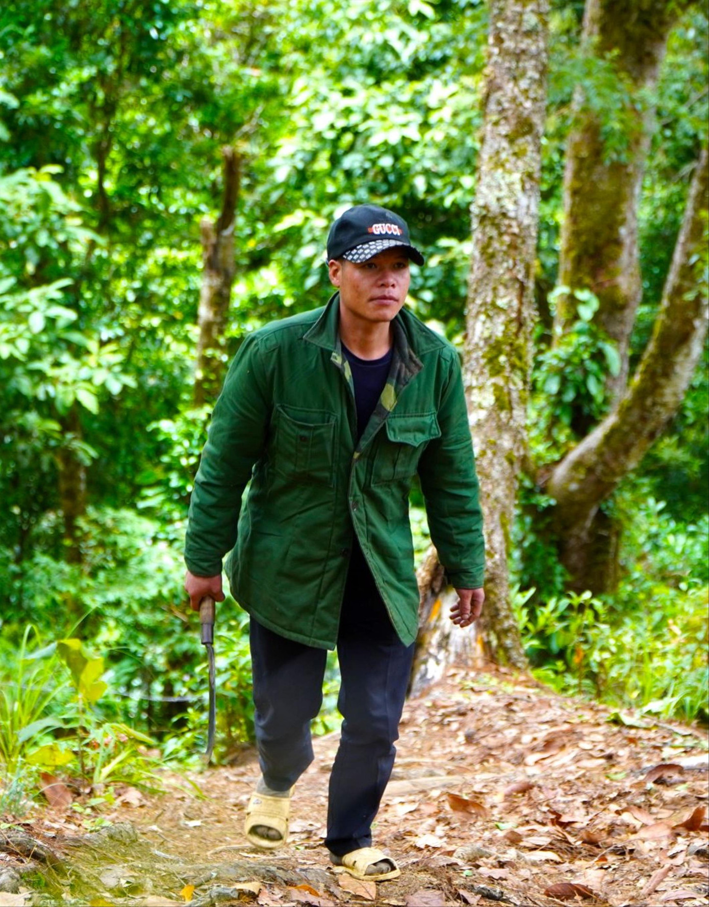 Anh Dịp vào rừng khai thác mật ong