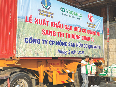 Lễ xuất khẩu 15 tấn gạo hữu cơ Quảng Trị lô đầu tiên sang thị trường châu Âu