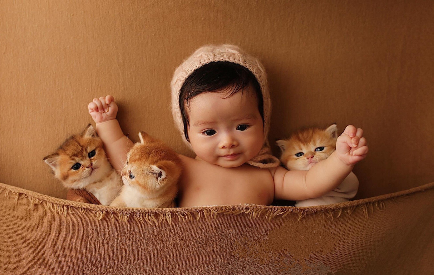 Bé Mi Lan được làm bạn với mèo ngay từ bé