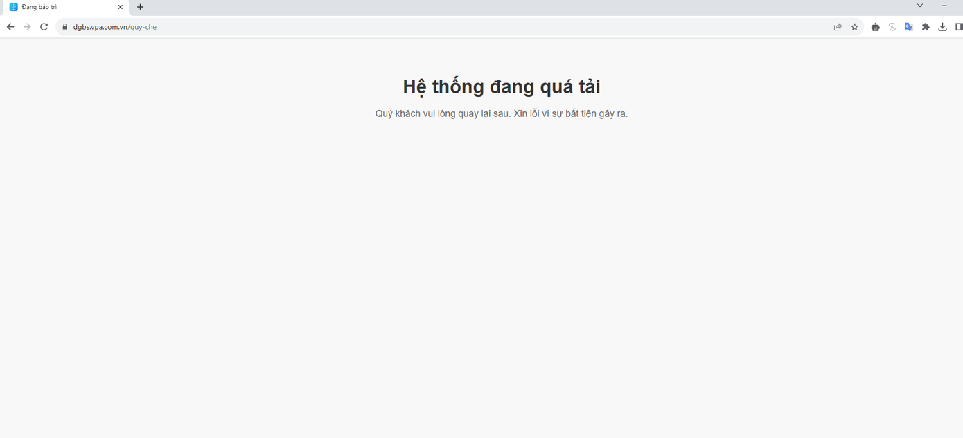 Có những thời điểm hệ thống báo đang quá tải. Ảnh chụp màn hình. Có những thời điểm hệ thống báo đang quá tải. Ảnh chụp màn hình.