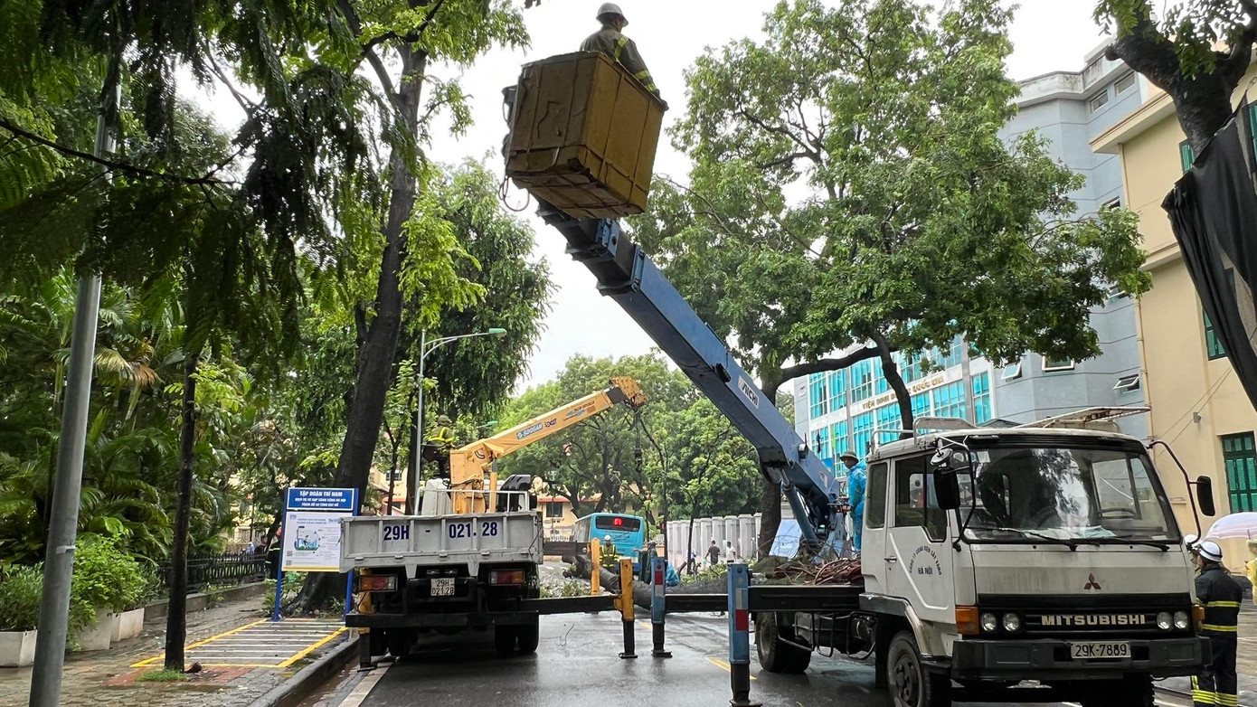 Công ty Công viên cây xanh cắt phần thân cây di chuyển khỏi hiện trường.