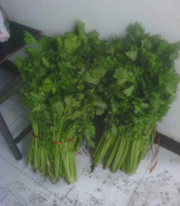 Thưởng Tết: Xe hơi, vàng miếng, và... quan tài ảnh 4