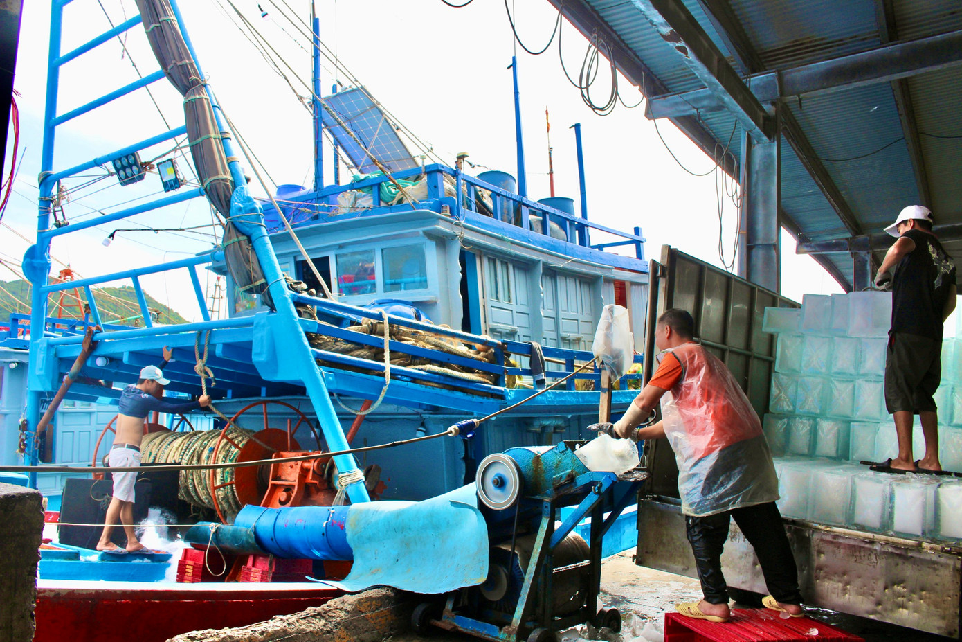 Trong khi các tàu đánh bắt xuyên Tết trở về cập cảng, thì tại cảng Hòn Rớ, các tàu khác cũng đang tất bật chuẩn bị ngư lưới cụ, nhiên vật liệu và nhu yếu phẩm cần thiết cho chuyến “xông biển” đầu năm. Trong khi các tàu đánh bắt xuyên Tết trở về cập cảng, thì tại cảng Hòn Rớ, các tàu khác cũng đang tất bật chuẩn bị ngư lưới cụ, nhiên vật liệu và nhu yếu phẩm cần thiết cho chuyến “xông biển” đầu năm.