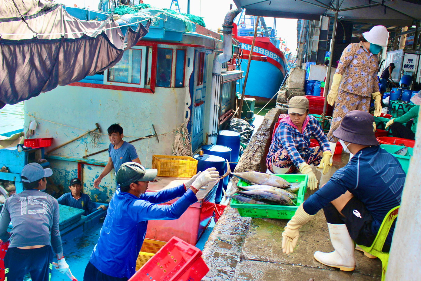 Thuyền viên đưa cá từ tàu lên bờ tiêu thụ. Thuyền viên đưa cá từ tàu lên bờ tiêu thụ.