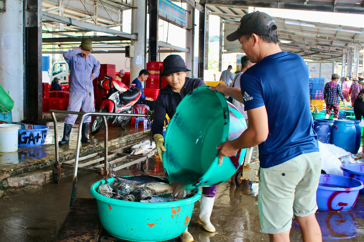 Theo kinh nghiệm của nhiều ngư dân, chuyến đi biển cuối tháng chạp, trở về vào giữa tháng giêng thường trúng lớn nên năm nay nhiều tàu câu cá ngừ đại dương, tàu lưới rê hoạt động xa bờ sẵn sàng vươn khơi, ăn Tết trên biển. Theo kinh nghiệm của nhiều ngư dân, chuyến đi biển cuối tháng chạp, trở về vào giữa tháng giêng thường trúng lớn nên năm nay nhiều tàu câu cá ngừ đại dương, tàu lưới rê hoạt động xa bờ sẵn sàng vươn khơi, ăn Tết trên biển.