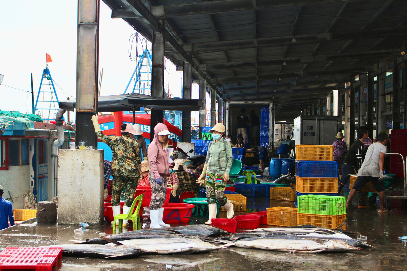 Theo Chi cục Thủy sản Khánh Hòa, toàn tỉnh có gần 3.200 tàu cá; trong đó có 659 tàu cá có chiều dài từ 15m trở lên, chủ yếu khai thác cá ngừ đại dương và các loại cá thu ngừ, cá ngừ sọc dưa... với 309 chiếc hoạt động nghề câu; 126 chiếc hoạt động nghề lưới rê, 22 chiếc hoạt động nghề lưới vây, 16 chiếc hoạt động nghề mành chụp. Trong dịp Tết năm nay, có 103 tàu cá xa bờ đăng ký hành trình xuyên Tết. Theo Chi cục Thủy sản Khánh Hòa, toàn tỉnh có gần 3.200 tàu cá; trong đó có 659 tàu cá có chiều dài từ 15m trở lên, chủ yếu khai thác cá ngừ đại dương và các loại cá thu ngừ, cá ngừ sọc dưa... với 309 chiếc hoạt động nghề câu; 126 chiếc hoạt động nghề lưới rê, 22 chiếc hoạt động nghề lưới vây, 16 chiếc hoạt động nghề mành chụp. Trong dịp Tết năm nay, có 103 tàu cá xa bờ đăng ký hành trình xuyên Tết.