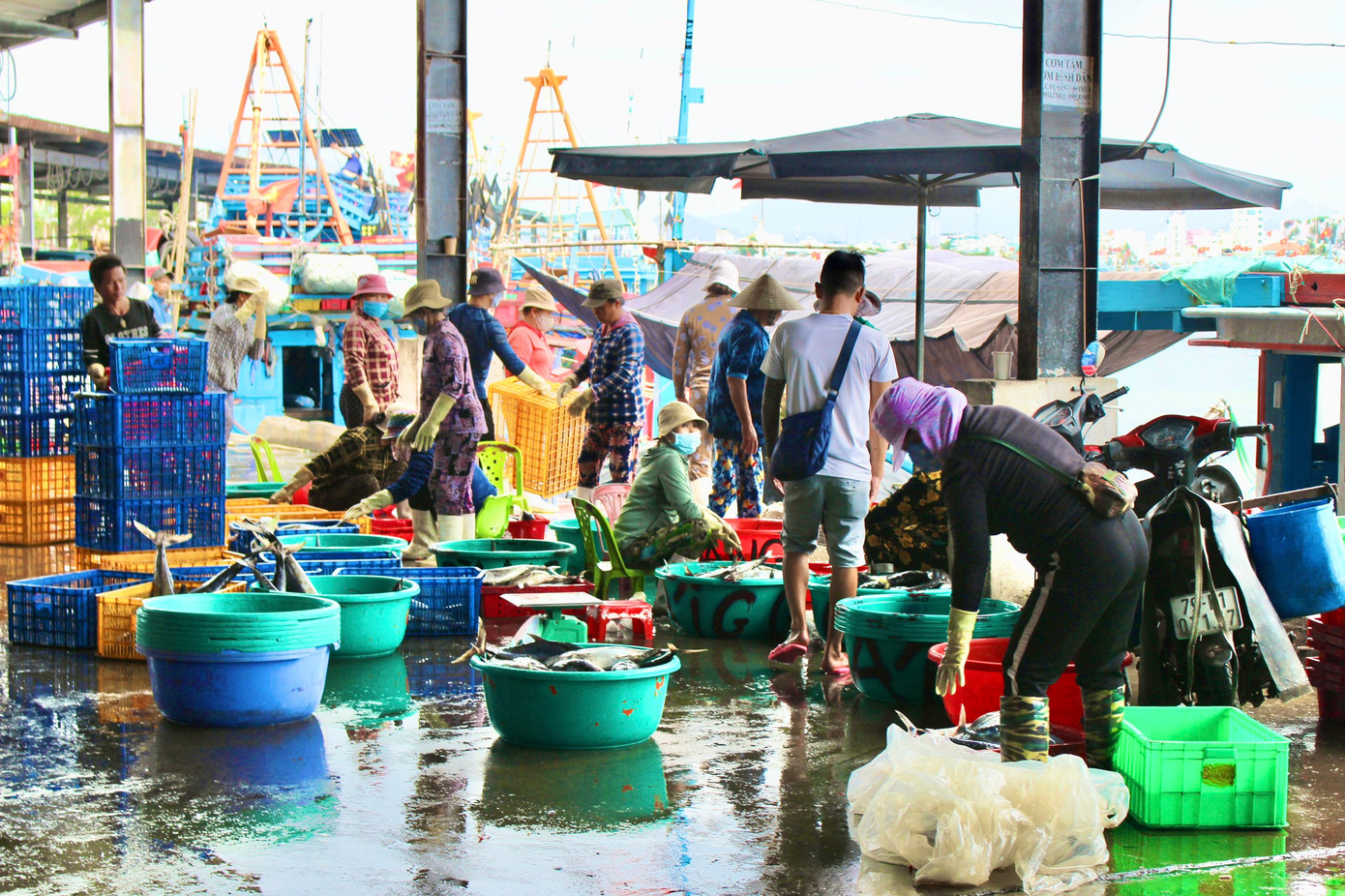 Những ngày này Cảng cá Hòn Rớ (TP Nha Trang) khá tấp nập khi các chuyến tàu đầu tiên đánh bắt xuyên Tết dần cập bến, mang đầy ắp cá vào bờ. Những ngày này Cảng cá Hòn Rớ (TP Nha Trang) khá tấp nập khi các chuyến tàu đầu tiên đánh bắt xuyên Tết dần cập bến, mang đầy ắp cá vào bờ.