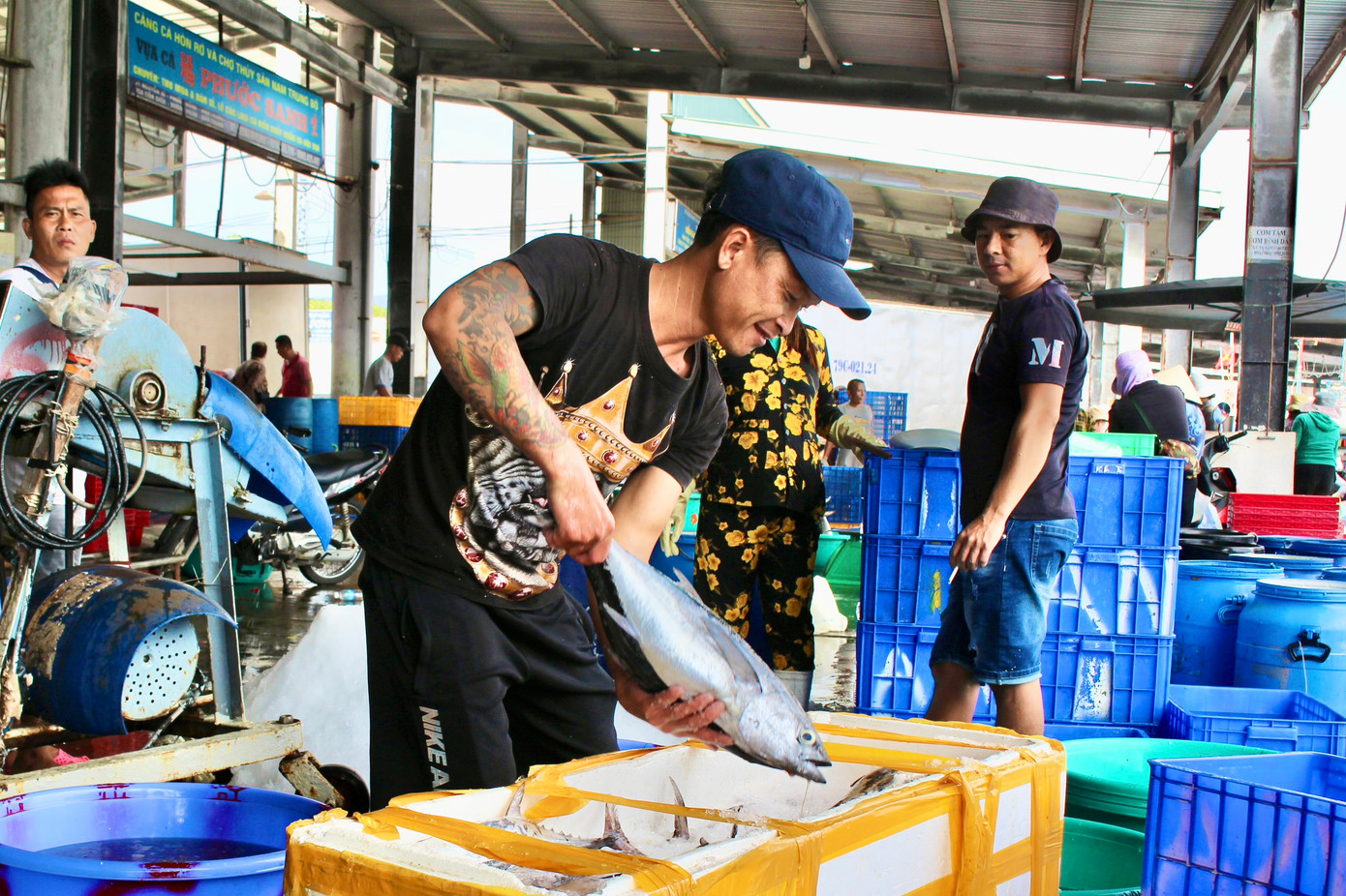 Sau chuyến biển kéo dài khoảng 20 ngày đánh bắt xuyên Tết Nguyên đán Giáp Thìn, tàu cá của ngư dân các tỉnh miền Trung đã bắt đầu cập cảng Hòn Rớ với sản lượng cao. Theo nhiều ngư dân, nếu chuyến biển đầu năm suôn sẻ thì năm đó nghề biển sẽ ăn nên làm ra. Sau chuyến biển kéo dài khoảng 20 ngày đánh bắt xuyên Tết Nguyên đán Giáp Thìn, tàu cá của ngư dân các tỉnh miền Trung đã bắt đầu cập cảng Hòn Rớ với sản lượng cao. Theo nhiều ngư dân, nếu chuyến biển đầu năm suôn sẻ thì năm đó nghề biển sẽ ăn nên làm ra.