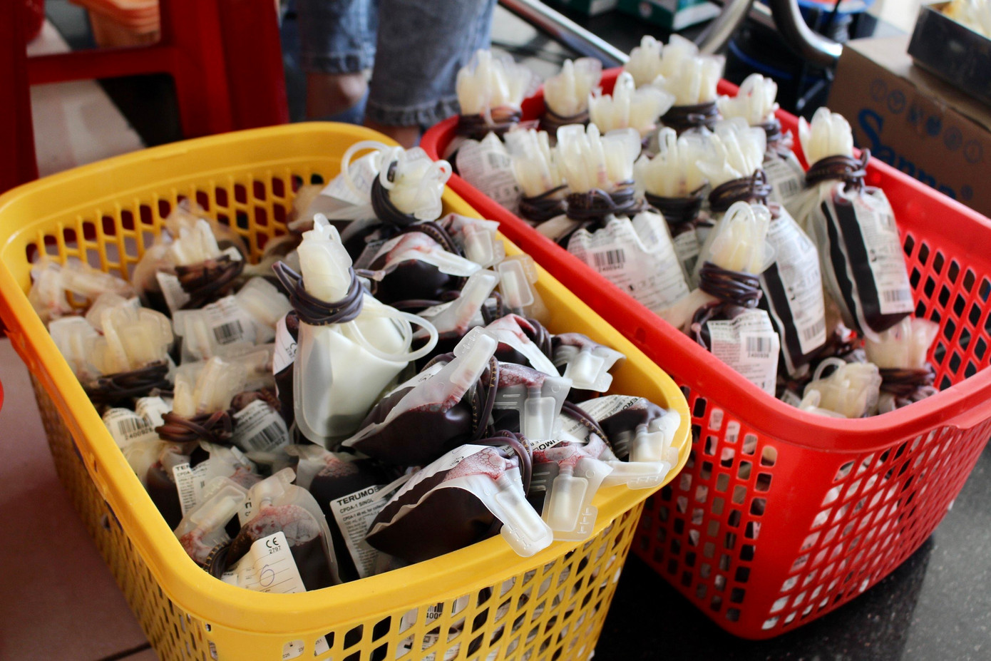 Những túi máu sau khi hiến được đội ngũ y tế xử lý cẩn thận. Hơn 600 đơn vị máu tiếp nhận được tại Chủ Nhật Đỏ. Những túi máu sau khi hiến được đội ngũ y tế xử lý cẩn thận. Hơn 600 đơn vị máu tiếp nhận được tại Chủ Nhật Đỏ.