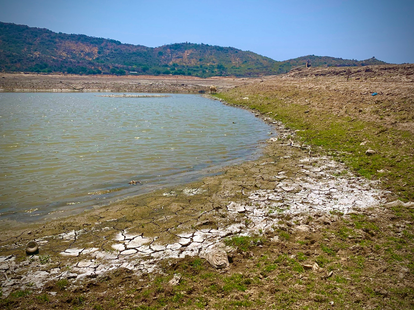 Để duy trì sản xuất, đa phần những hộ dân trong vùng đã phải bỏ hàng chục triệu đồng khoan giếng tìm nguồn nước ngầm.