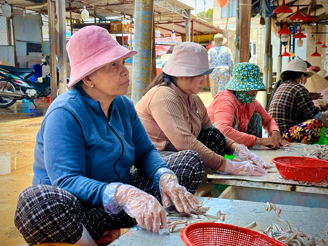 Hàng ngày, những người phụ nữ này thường làm các công việc khác nhau như: giúp việc nhà, phụ hồ, nhặt ve chai… với nguồn thu nhập không ổn định. Đang vào mùa cá cơm, những ngư dân, thương lái cần thuê thêm nhân công nên họ đến đây tìm kiếm việc làm.
