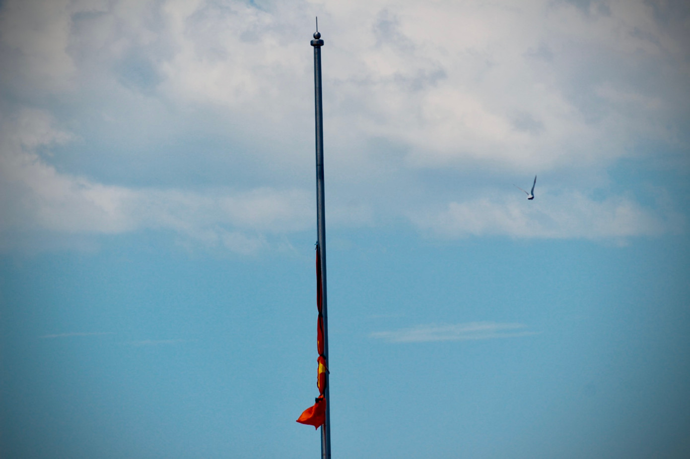 Lá cờ được treo đến 2/3 chiều cao của cột cờ. Lá cờ được treo đến 2/3 chiều cao của cột cờ.