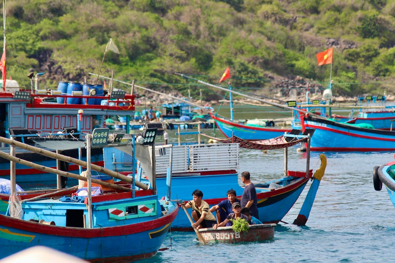 Khi đến với đảo Bích Đầm du khách còn được khám phá vẻ đẹp hoang sơ của cảnh sắc thiên nhiên và tìm hiểu về cuộc sống ở làng chài nhỏ yên bình trên đảo.