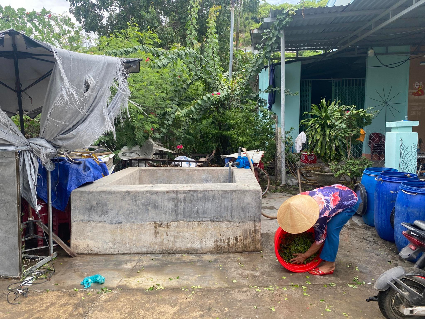 Một số người dân trên đảo Trí Nguyên sử dụng nước giếng và dự trữ nước trong thời gian bị tạm dừng cấp nước. Một số người dân trên đảo Trí Nguyên sử dụng nước giếng và dự trữ nước trong thời gian bị tạm dừng cấp nước.