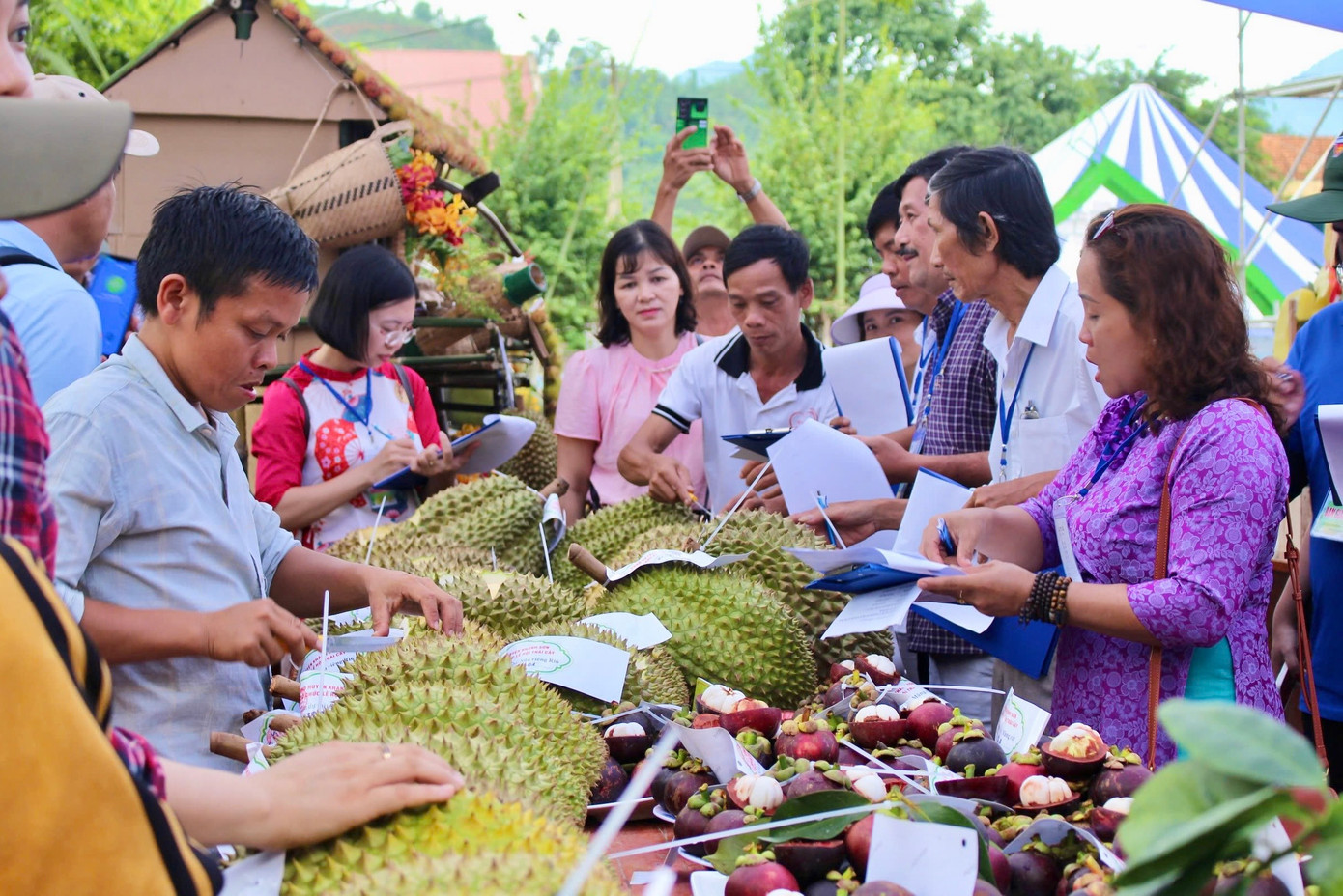 Nhiều du khách tỏ ra thích thú khi lần đầu tiên được thấy những trái sầu riêng, măng cụt, bưởi siêu to. Không những có kích thước đặc biệt, các loại trái cây còn được ban giám khảo thử chất lượng, độ ngon ngay tại hội thi.