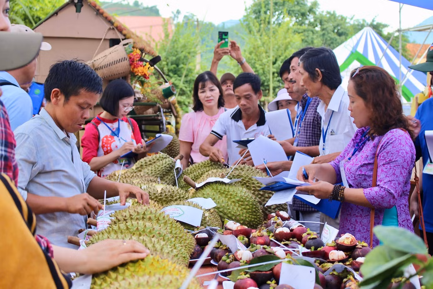 Nhiều du khách tỏ ra thích thú khi lần đầu tiên được thấy những trái sầu riêng, măng cụt, bưởi siêu to. Không những có kích thước đặc biệt, các loại trái cây còn được ban giám khảo thử chất lượng, độ ngon ngay tại hội thi.