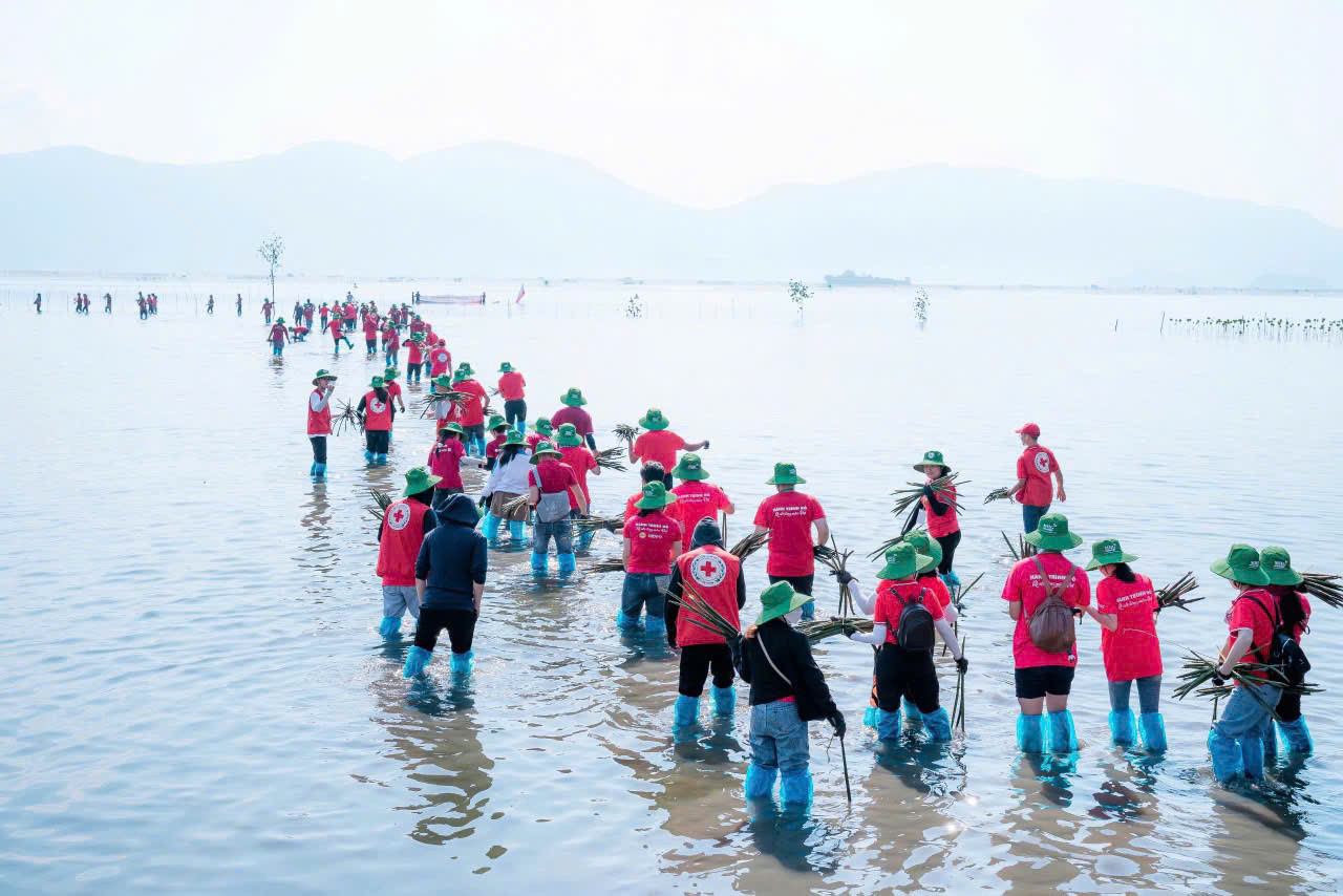 Gần 170 tình nguyện viên đã tham gia trồng rừng ngập mặn tại xã Ninh Ích, thị xã Ninh Hòa, tỉnh Khánh Hòa.