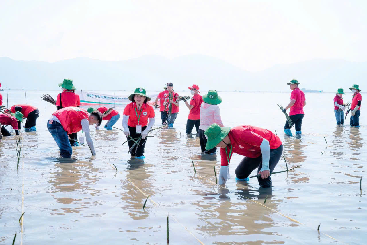 Các tình nguyện viên hào hứng trồng rừng ngập mặn, bày tỏ niềm hy vọng chồi non từ những cây đước sẽ vươn mình để bảo vệ cuộc sống và tạo sinh kế cho người dân địa phương.