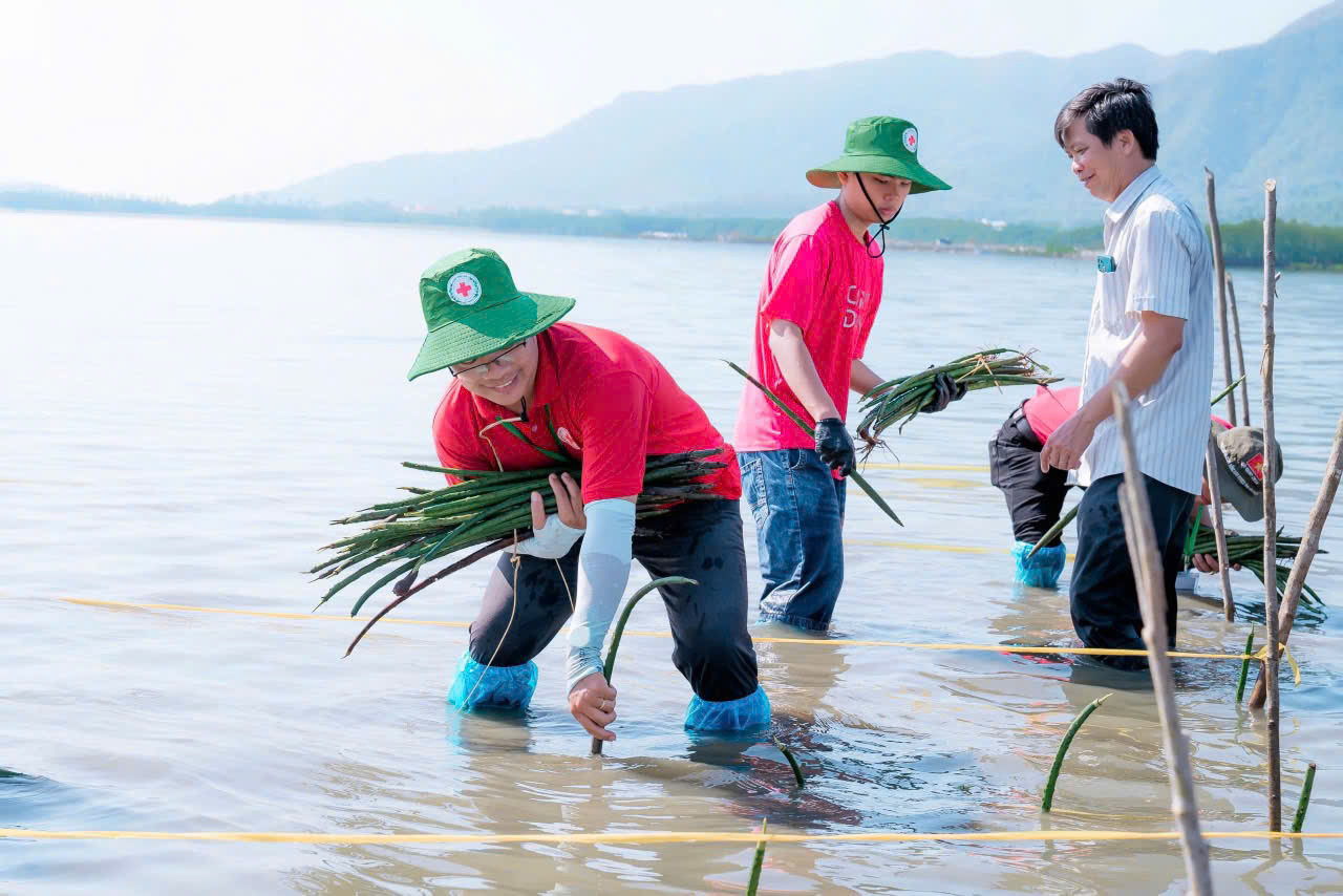 Tại đây, các tình nguyện viên đã ngâm bùn, đội nắng, cắm sâu hàng ngàn cây đước non trên diện tích 1ha rừng ngập mặn.