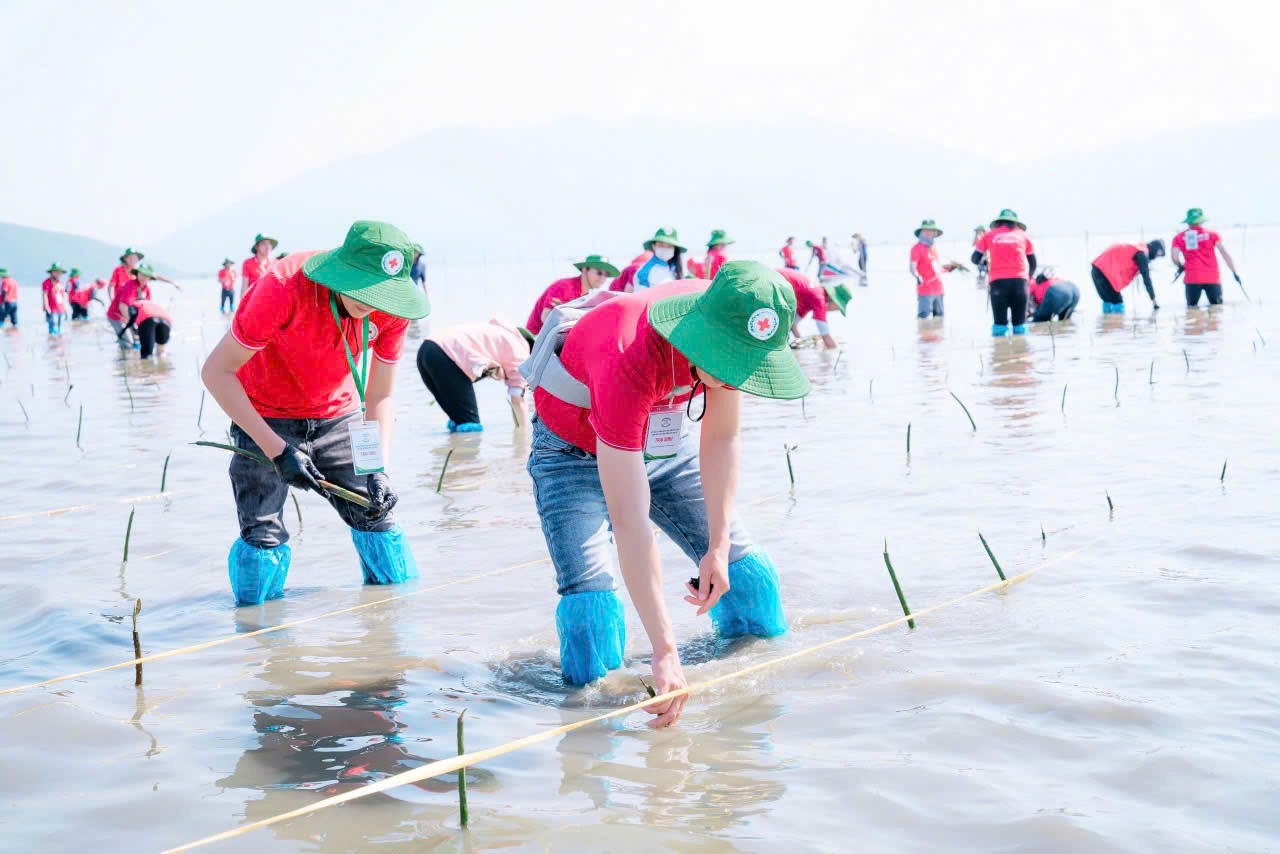 Ông Vũ Thanh Lưu - Phó Chủ tịch Hội Chữ thập đỏ Việt Nam, chia sẻ: Đây là hoạt động vô cùng thiết thực trong khuôn khổ hội trại, nhằm cụ thể hóa mục tiêu của phong trào về chuyển đổi xanh, hành động sớm để bảo vệ môi trường và giảm thiểu rủi ro thiên tai mà Hội Chữ thập đỏ Việt Nam đang tiên phong thực hiện.