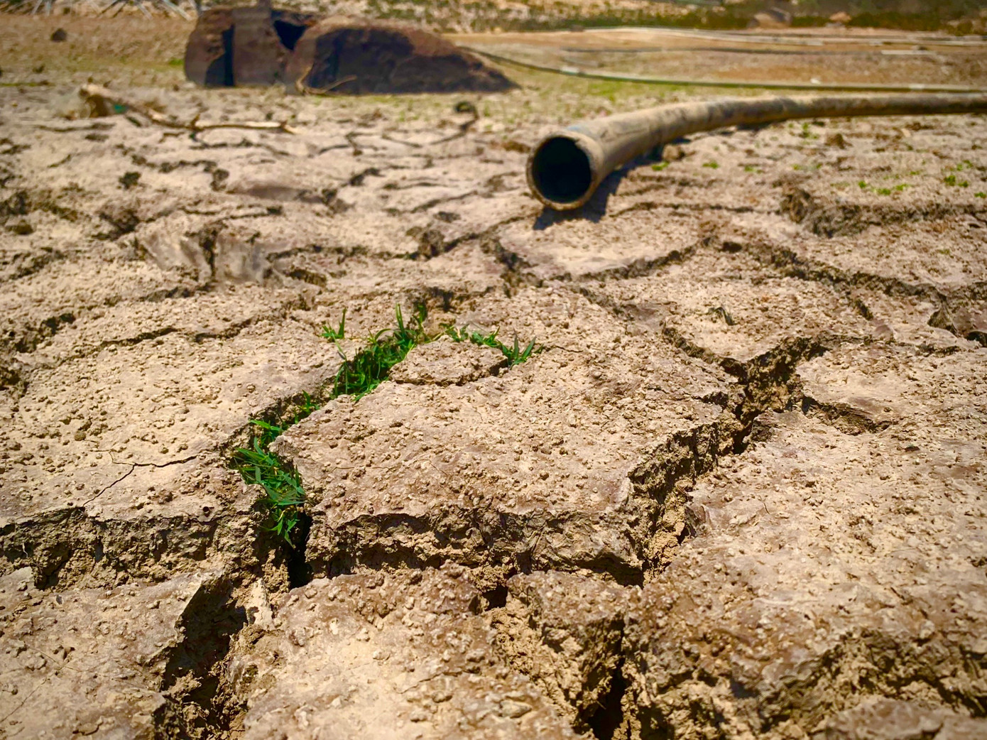 Người dân dùng ống để lấy nước từ hồ Ông Kinh về phục vụ sản xuất, chăn nuôi. Tuy nhiên, hồ đã cạn khô, đất nứt toác.