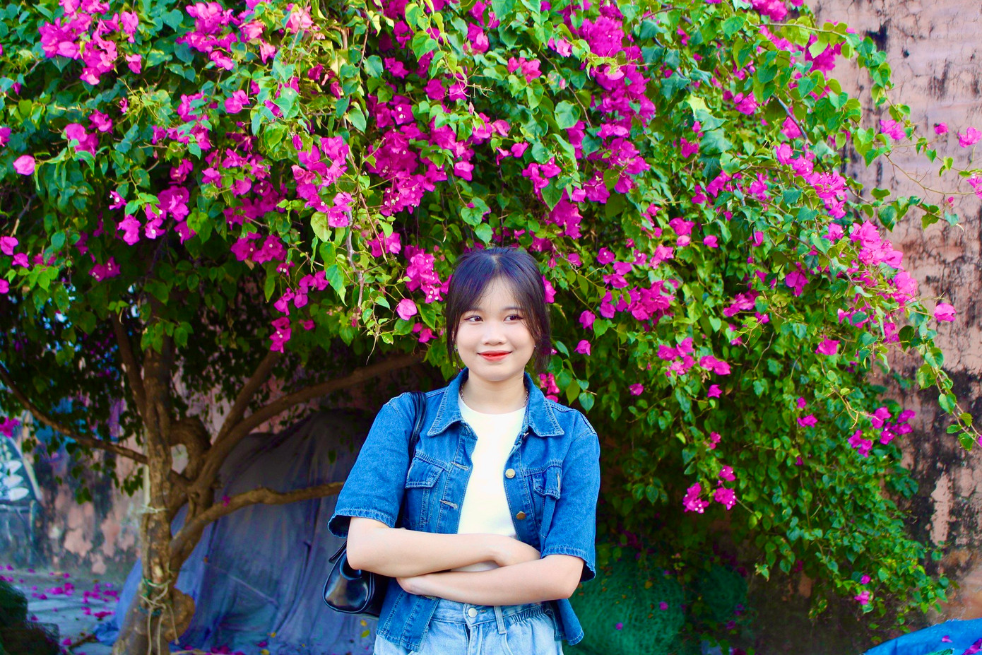 Bạn Nguyễn Hoàng Chân Y (du khách đến từ TP HCM) chia sẻ, những cây hoa giấy tại Nha Trang được trồng thành hàng, bung nở rộng trên nhiều con đường trong thành phố tạo nên khung cảnh đẹp ngỡ ngàng. Đây là một trong những điều để lại ấn tượng mạnh cho du khách khi đến với Nha Trang.