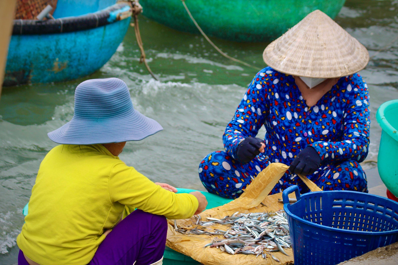 Cá cơm vừa được đưa lên bờ đã được những người phụ nữ chờ sẵn để thực hiện công việc. Một số người đã chờ tàu về từ 1h sáng với mong muốn tranh thủ kiếm thêm thu nhập vào mùa cá cơm.