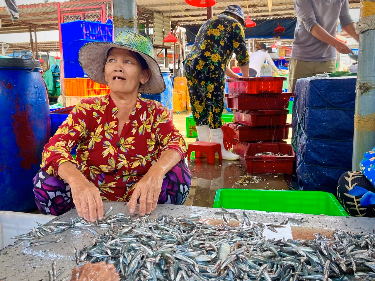 Bà Lê Thị Mỹ Đông (65 tuổi, ở phường Vĩnh Trường) cho biết, bà được thuê làm công việc này với mức lương 25.000 đồng/giờ, đợt này trung bình mỗi ngày kiếm được từ 100.000 - 200.000 đồng. Có những ngày không có cá đành phải về tay không, kiếm việc khác làm.