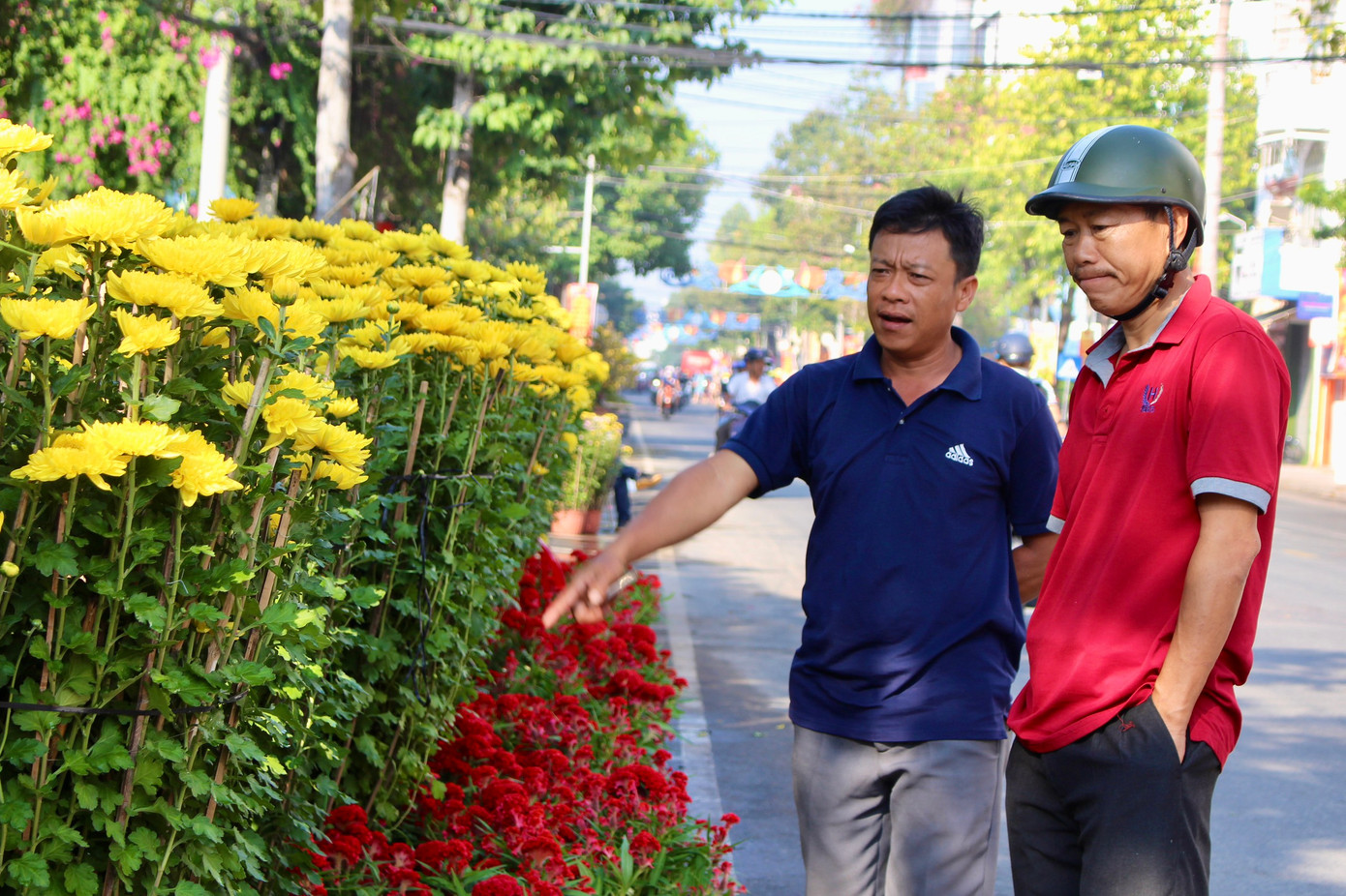 Dù giá hoa đã giảm so với những ngày trước nhưng người mua vẫn vô cùng đắn đo để đưa ra quyết định.