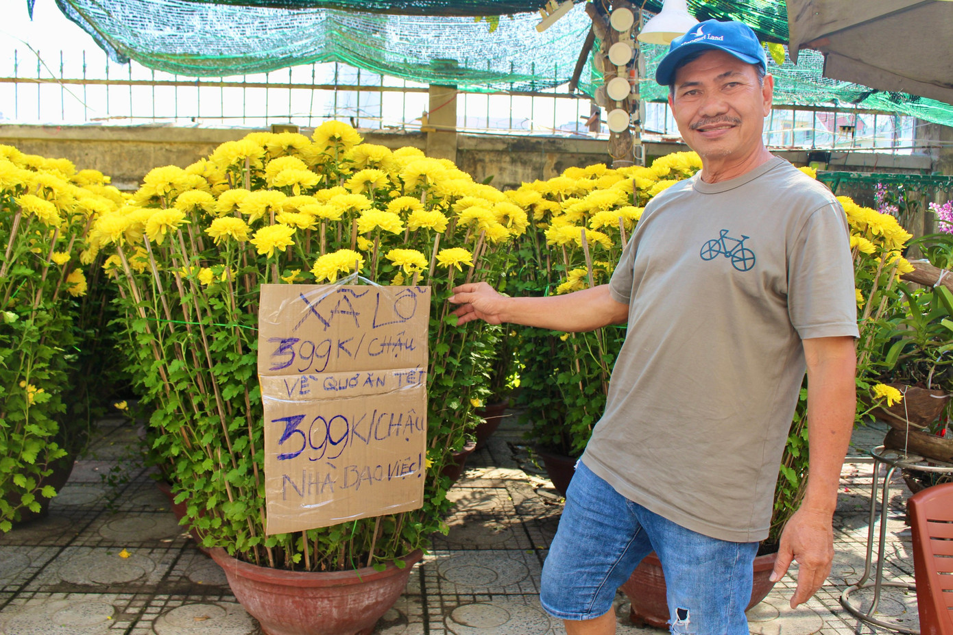 Ông Lê Văn Mạnh (tiểu thương sống tại TP Nha Trang) cho biết, năm nay ông chỉ dám đưa khoảng 50 chậu hoa cúc Ninh Giang ra phố bán nhưng hiện tại vẫn còn rất nhiều, đành phải treo biển xả lỗ. “Những năm trước càng về cuối năm giá hoa sẽ càng cao chứ không phải hạ giá thấp như vậy. Nếu đêm 30 Tết vẫn còn hoa tôi sẽ cho các công nhân vệ sinh hoặc đập bỏ chứ vận chuyển về lại càng thêm lỗ”, ông Mạnh buồn rầu nói.