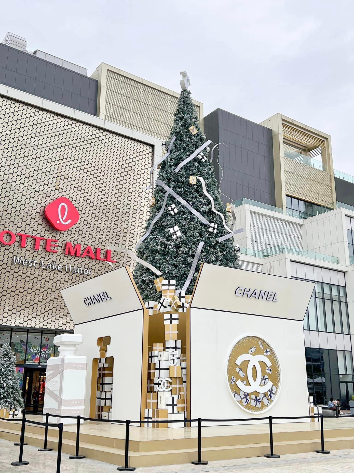 Background “chanh sả” cho Gen Z thoải mái chụp choẹt. - Ảnh: Đức Trung