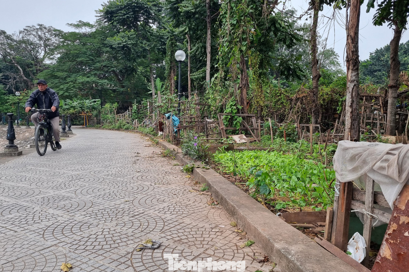 Tuy nhiên, do công tác quản lý không tốt, không được tu sửa, nên công viên xuống cấp, trở nên nhếch nhác. Gạch lát bị bong tróc, ghế đá bị gãy đổ; hàng rào bảo vệ chỉ còn trơ các hàng cọc bằng sắt, không còn rào lan can bảo vệ, tiềm ẩn nguy cơ mất an toàn…