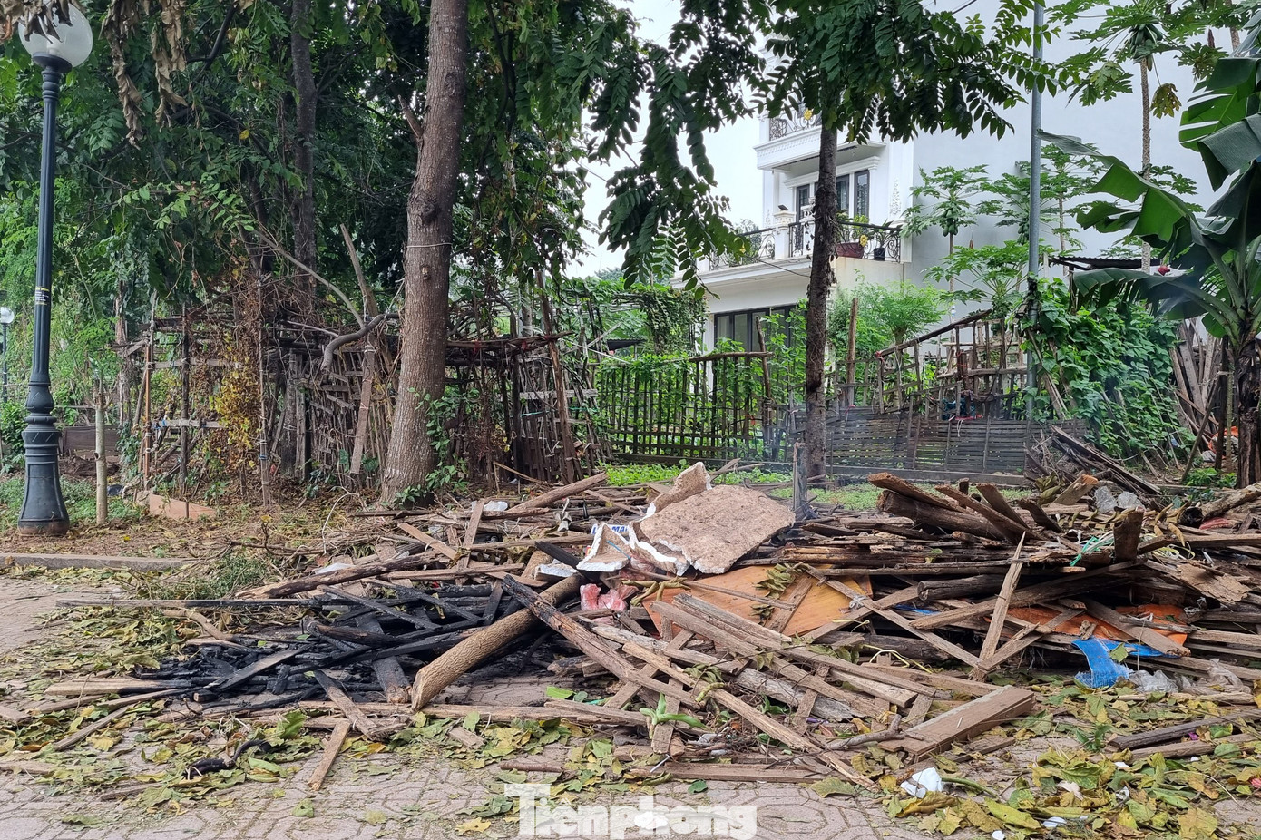 Nhiều người còn gom củi, gỗ đến một khu vực để đốt