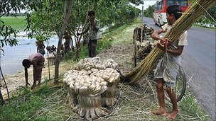 "Sợi vàng" đưa lại thu nhập cao cho người dân Bangladesh. Ảnh: BBC.