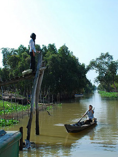Một ngày ông Võ ra đi để kiếm tiền, mãi không về.