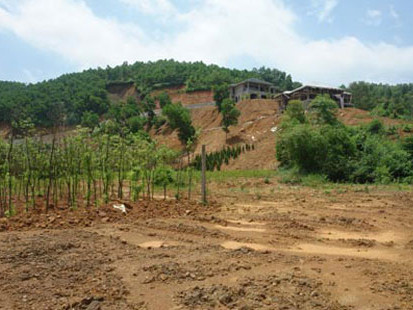 Những khu đất đồi hun hút chả thấy bóng người, nhưng vẫn được cho là 