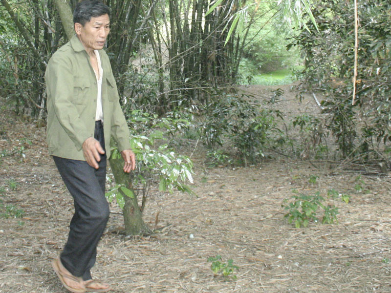 Ông Bé trong vườn cò