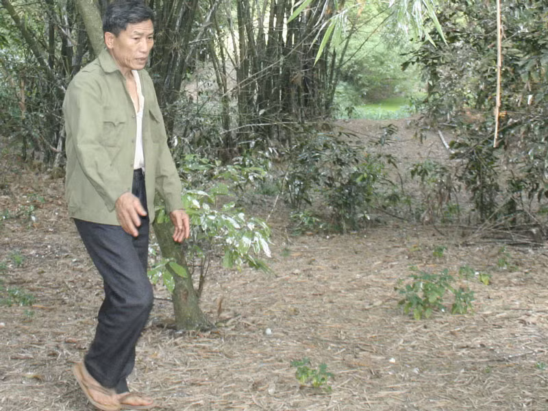 Ông Bé trong vườn cò
