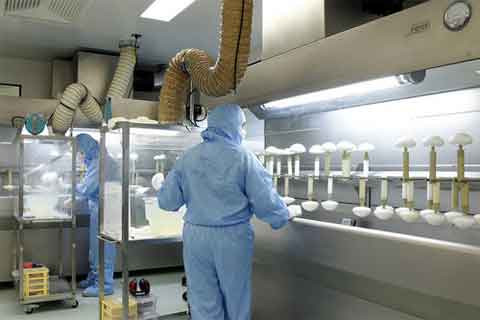 Túi nâng ngực tại đây được áp dụng công nghệ sản xuất tiên tiến, có mã số đảm bảo, kích thước và hình dáng đa dạng nhắm đáp ứng nhu cầu của thị trường