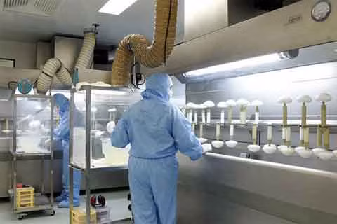 Túi nâng ngực tại đây được áp dụng công nghệ sản xuất tiên tiến, có mã số đảm bảo, kích thước và hình dáng đa dạng nhắm đáp ứng nhu cầu của thị trường